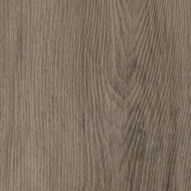 Castle Oak Acoustic SPC Flooring