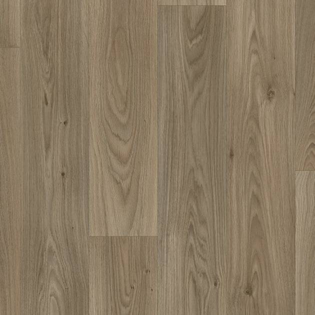 Blacktex Gambel Oak 696M