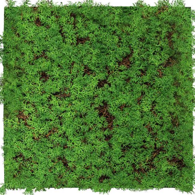 Modular Tiles Flora Panel Thuya Tea 52 x 52cm