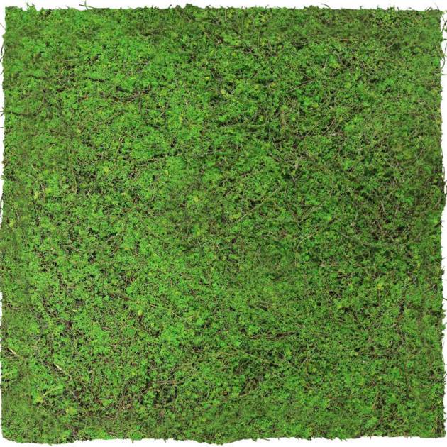 Modular Tiles Flora Panel Ancient Forest Green 52 x 52cm