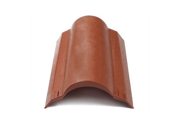 Roof Eco Smart System Ridge