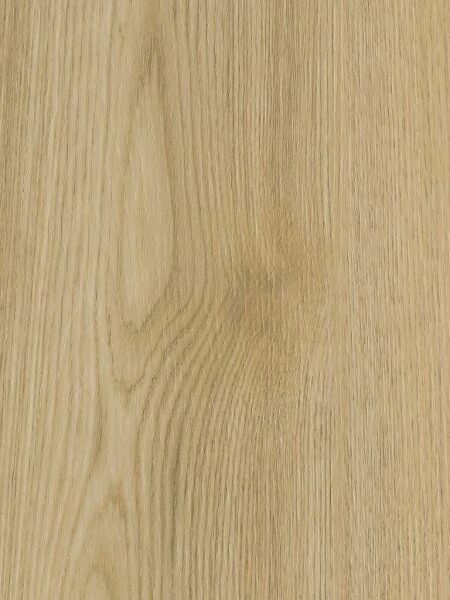 Vienna Oak - Wide Panel Acoustic SPC Flooring